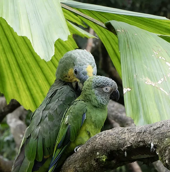 Yanacocha Wildlife Park